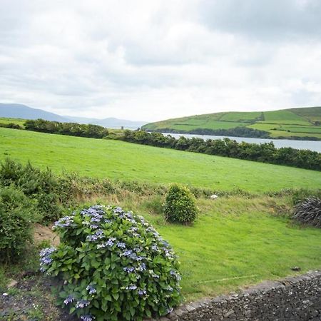 Half Door House Hotel Dingle Eksteriør billede