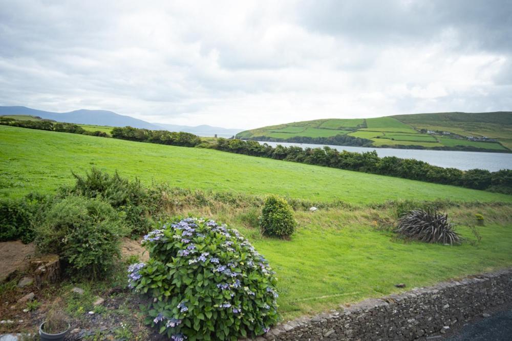 Half Door House Hotel Dingle Eksteriør billede