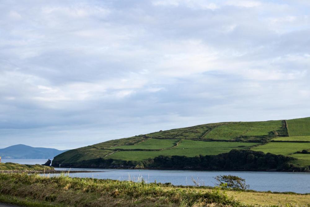 Half Door House Hotel Dingle Eksteriør billede